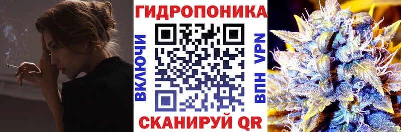 Кодеин Шенкурск