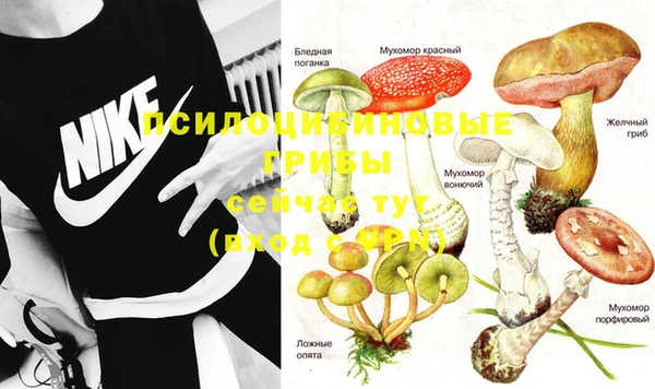 прущие крисы Майский