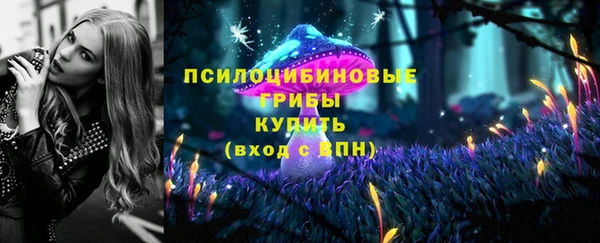 мяу мяу мука Медвежьегорск