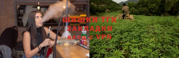 гидропоника Магас