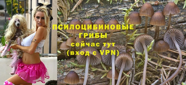 мяу мяу мука Медвежьегорск