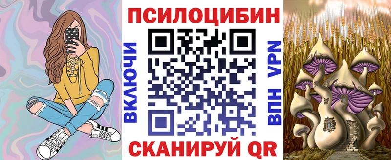 Галлюциногенные грибы GOLDEN TEACHER продажа наркотиков Шенкурск